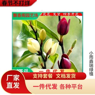 һ�����l��Ц���������҃��̨������ͥԺ���Դ�����Ϸ��ļ��_��