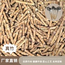 �S�ҬF؛���l�N�����b���ľ���͹ź��s��Ȼ����Ʒ�����ˇƷ