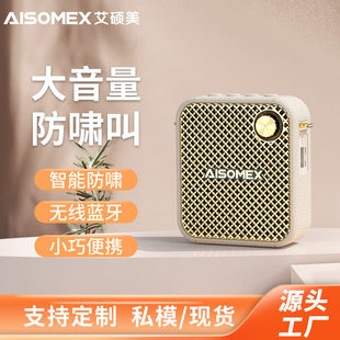 Ai Shimei K16 Little Bee Vocal Teacher Teacher Special Wireless Earr Class Guide Guide Loring Outdoor Worker