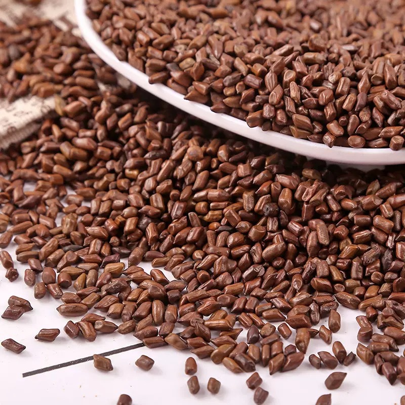 Cassia Seed 500g Jue Ming Zi Dried Herbal Tea Ingredient for Daily Infusions and Decoctions overview