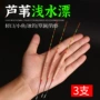灵敏芦苇漂
