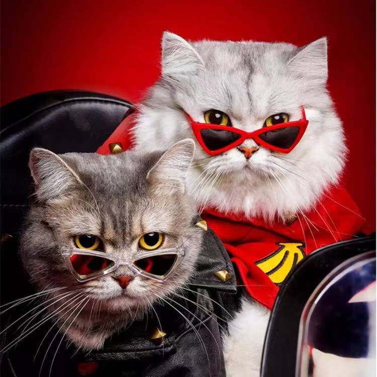 Love Styling Cat Glasses Decoration Dog Sunglasses Pet Accessories Personalized Pet Triangle Cat Glasses Accessories