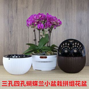 2.8��3.0���m����3-4�ú����mƴ�M����ظ������͸��W��������