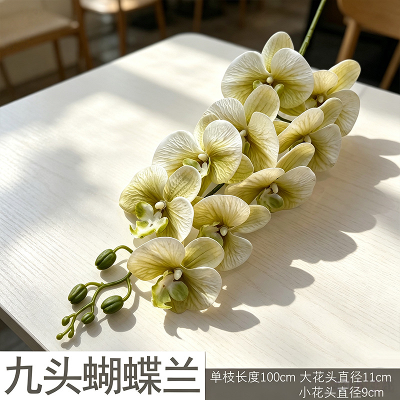 3D Phalaenopsis mới/vàng xanh