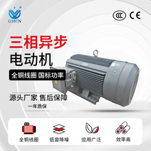 YE3-250M-6�O���ஐ��늙C ��/��ʽ�T�F늄әC 37KW 985r/min�R�_