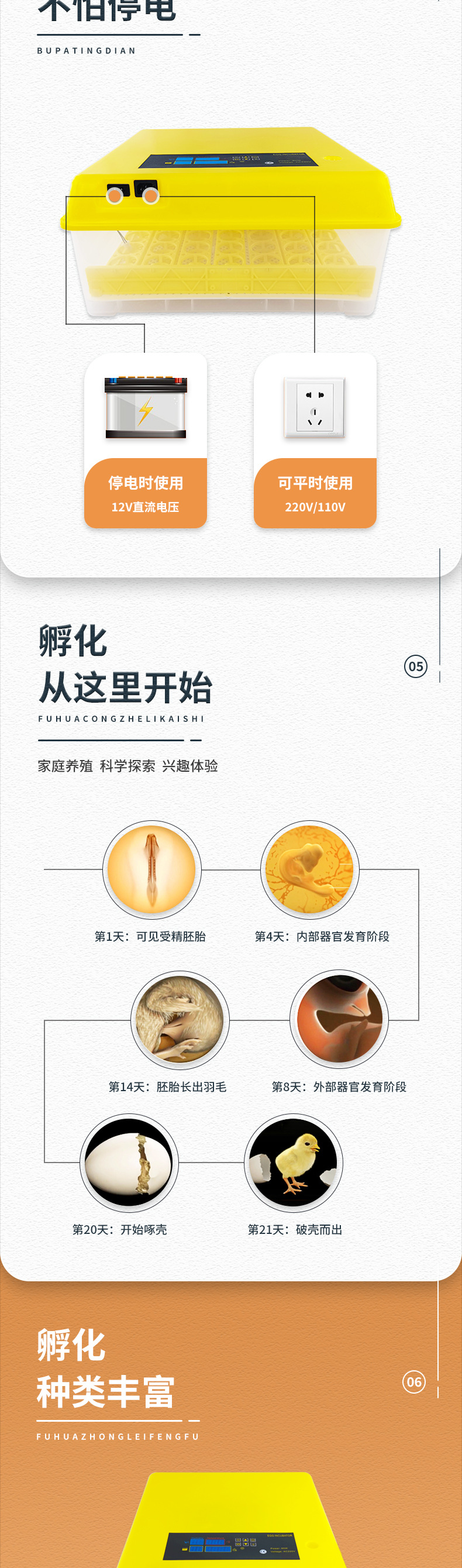 56枚双电源(花篮蛋盘)已修改_03