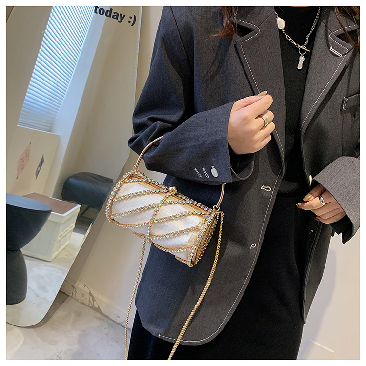 Internet berühmte Kette mit Perlenbesatz für Umhängetasche zum Abendessen, modischer Tragekäfig aus Metall, eine Schultertasche für Damen_voghion.com