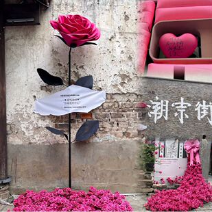 ���˹�520���͑���õ�廨��Ϧõ�tEVA���^���վW�t���̈�����