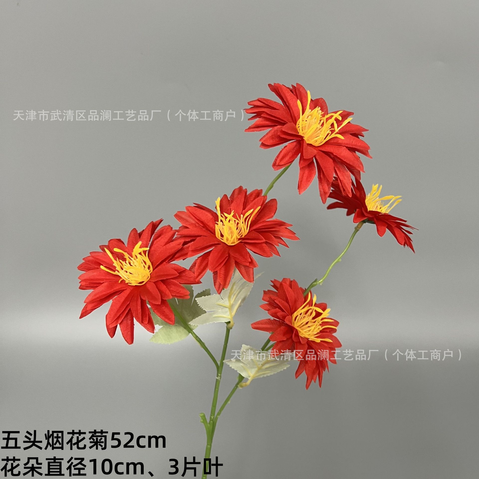 다섯 머리 불꽃 국화