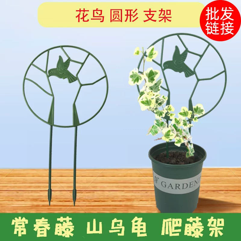 Зеленый стержень Горная черепаха Анкилозавр Клематис Подставка для цветов Альпинистская лоза Маленькая подставка для альпинизма Подставка для зеленых растений Подставка для цветов плюща и птиц