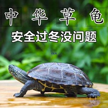 ������С�����������A����������w�^�p�����Bˮ���L��ī������