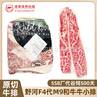 ����Ұ�Ӻ�ţM8-9+ţС��ԭ��ţ��558�S���N���˪��ѩ��ţ�⿾��