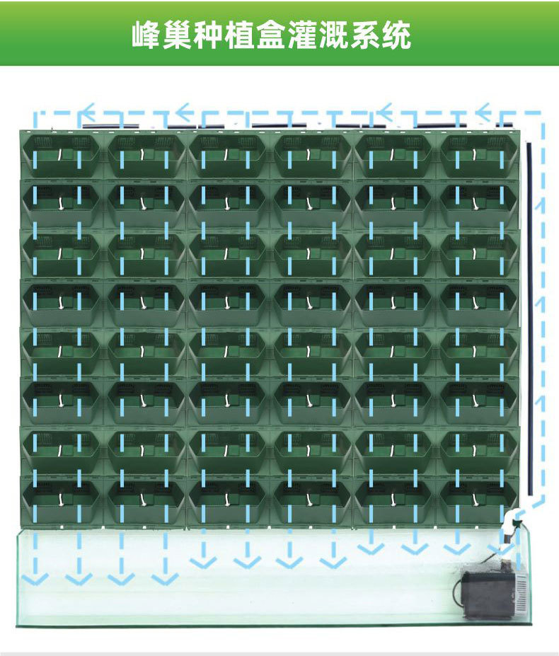 ֲ��ǽ��ֲ��/