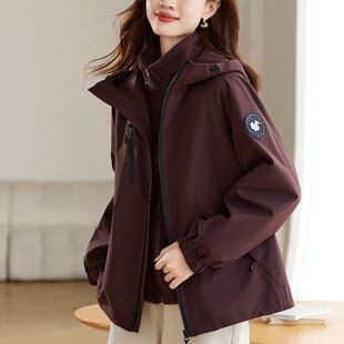 �ɿ˷�Ů2025���¿��@�ݶ����ӽq�Ӻ�ɲ�ж��đ�������|�޷�����