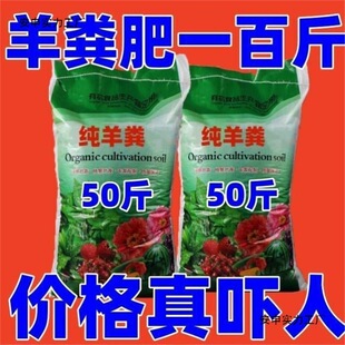 ����S����u�S��N�߲˹��仨��ͨ�ðl���ЙC����һ��ֲ��ƿ�b