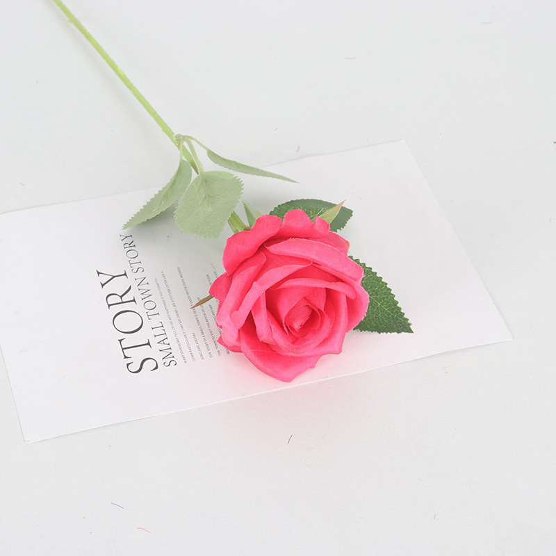 Rojo rosa de tela de seda (Freud)