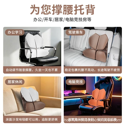 Back Cushion Lumbar Pad | Waist support