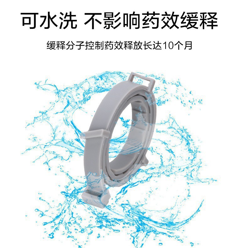 15458799633_1288961164