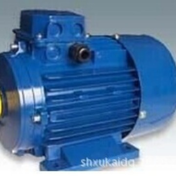 THREE PHASE INDUCTION MOTOR电机YSJ8014 0.55KW