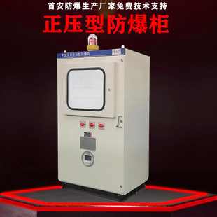 Nanyang Shou'an dust explosion-proof positive pressure cabinet positive pressure explosion-proof box explosion-proof positive pressure control box explosion-proof cabinet manufacturer