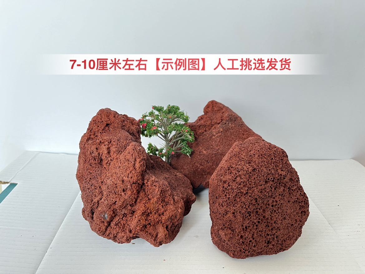 5파운드, 약 7-10cm [인기 사양] 약 6-8개