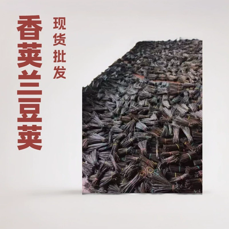 Ванильный стручок Ванильный стручок Ванильная орхидея Ванильный стручок Ванильная королева