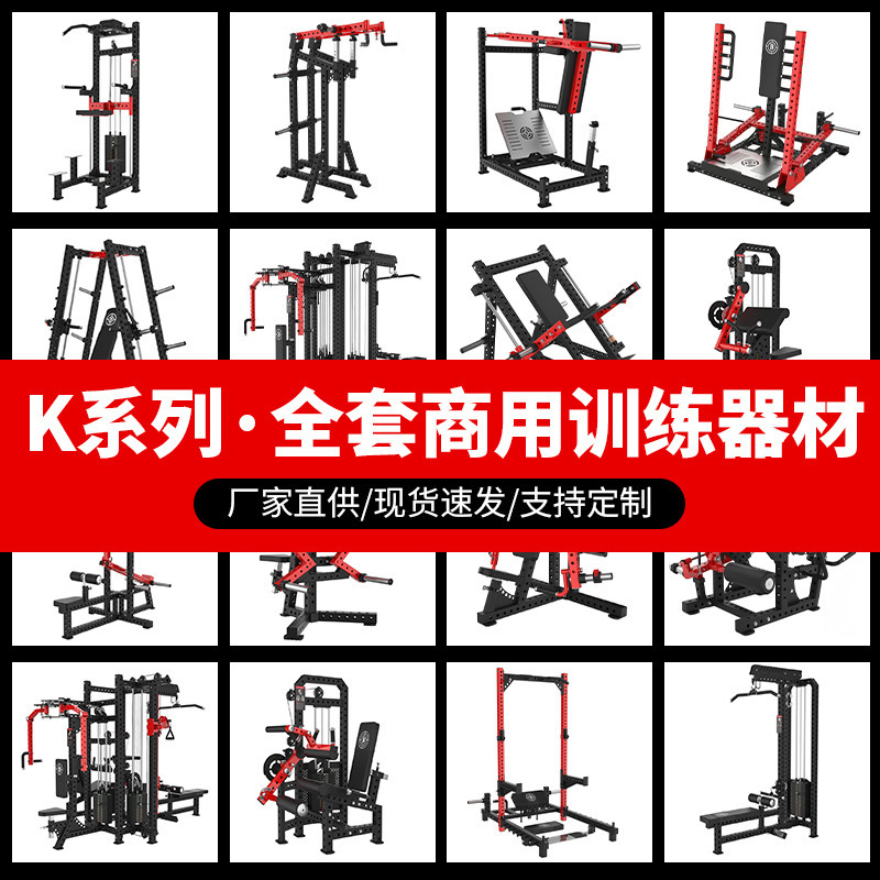 Regis Commercial Fitness Equipment Multi-Functional Comprehensive Training Device Bird Fly Rack Exercise Equipment Fitness Equipment