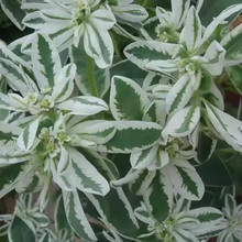 ���~�ݻ��N���ļ��N�\�������^�~���ܻ���ֲ���ͺ��͟��̨����