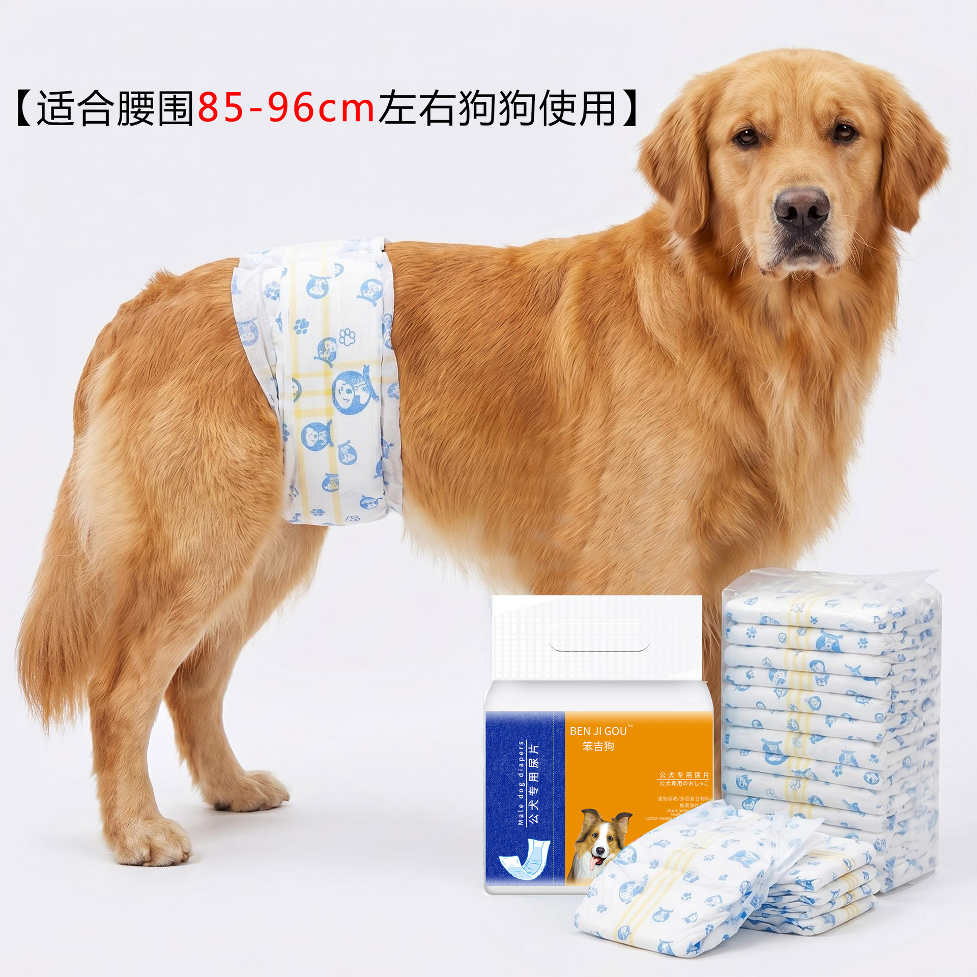 수컷견 3XL [권장 40-50kg ]