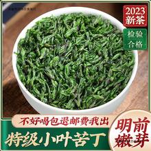 2023新茶小叶苦丁茶嫩芽苦茶余庆四川峨眉山青山绿水茶叶