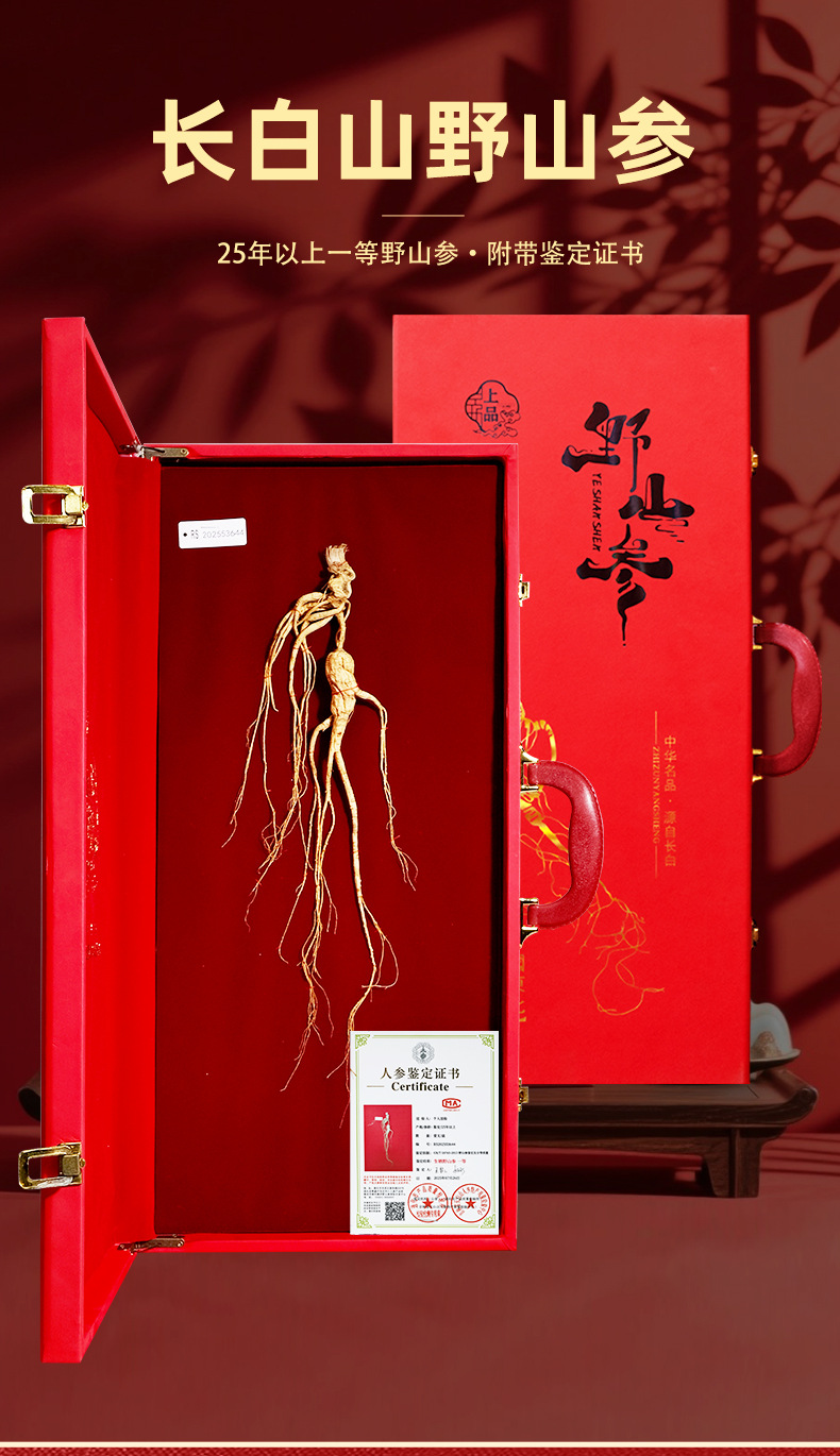 Changbai Mountain Wild Forest Ginseng Root Dried Whole Root for Traditional Herbal Decoction and Gift Box overview