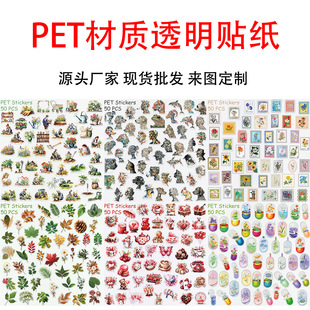 ���PET͸�����|�N����ͨ�T�f��ˮDIY�N�����~�֙C��X�b����l