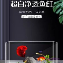 4K超白亚克力鱼缸新款客厅桌面乌龟缸生态造景水族箱自循环金鱼缸