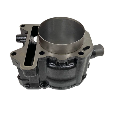 Gts300 Gtv300 Piston, Cylinder and parts
