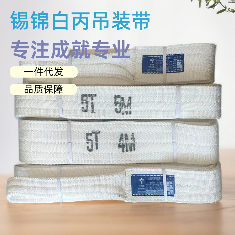 国标彩色涤纶扁平吊装带环形双扣厂家直销工业起重行车吊装带