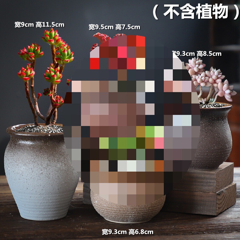 【包郵便】ミニ多肉植木鉢陶磁器包郵便小植木鉢親指鉢トランペット6床置き式|undefined