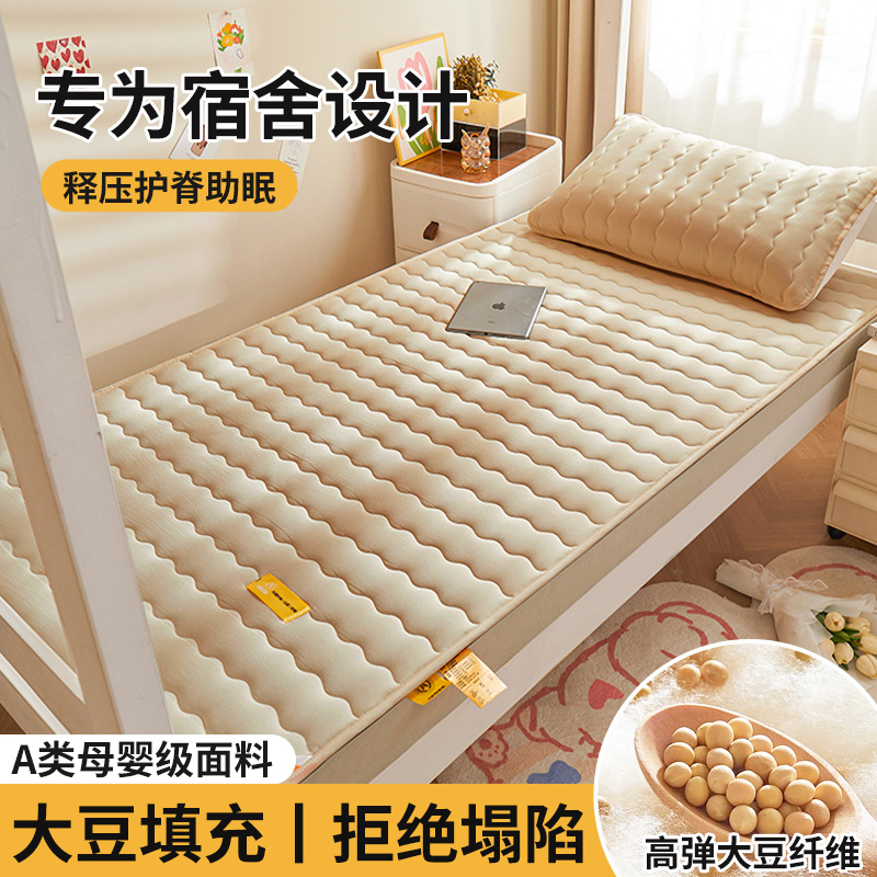 Colchón de soja, cojín, dormitorio de estudiantes en casa, cojín individual, cojín, piso especial para alquiler, cojín para dormir, fondo de cama