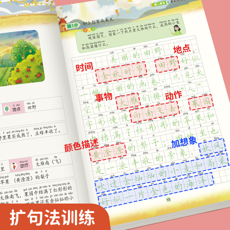 Special copybook for the first grade for training