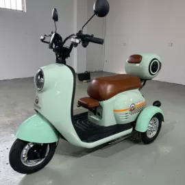 电动自行车;电动三轮车;其他电动车