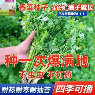 �ļ���˷N�Ӵ�ȫ�r����������~ܾݴ����Ѳ˷N���߲����̨�׷N