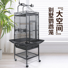 �羳������Ʒ�Fˇ61���W�^�\���̈́e����݆�Ƅ��B�\���l���Pĵ���^