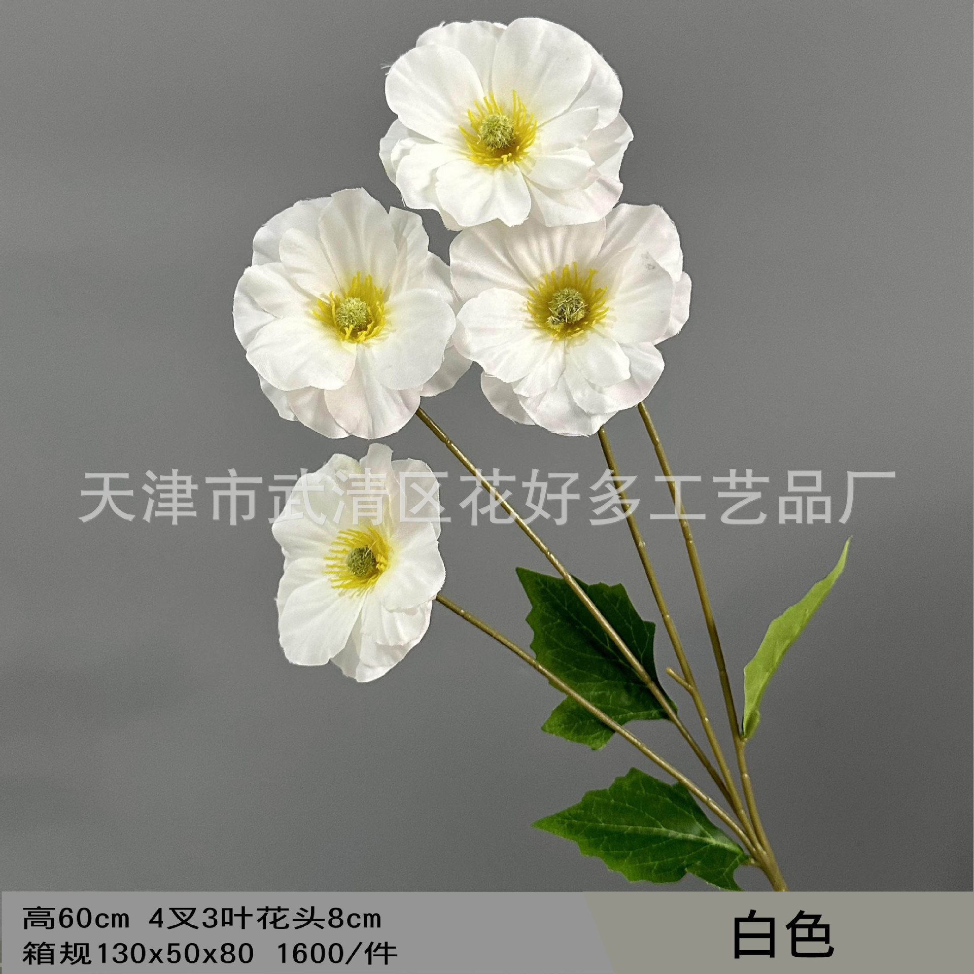 화이트