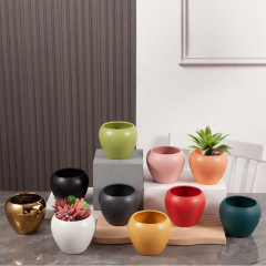 Succulent ceramic flower pot wholesale Morandi Nordic Creative INS apple flower pot ceramic container cactus green plants
