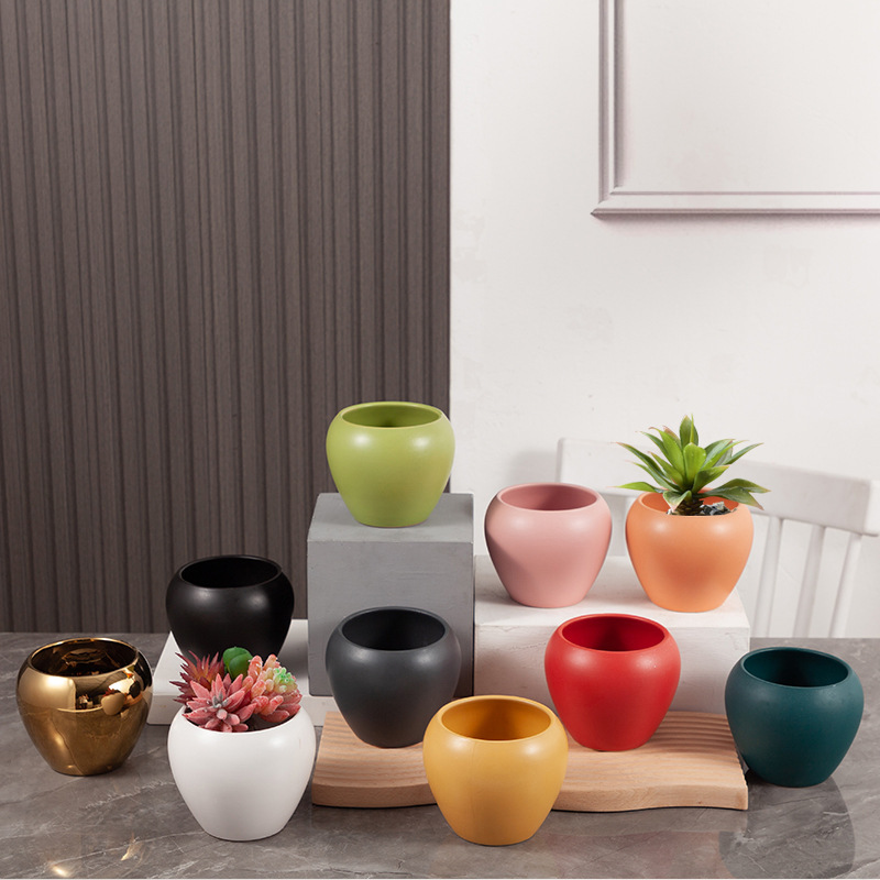 Fleshy Ceramic Flower Pot Wholesale Morandi Nordic Creative INS Apple Flower Pot Ceramic Container Cactus Green Plant