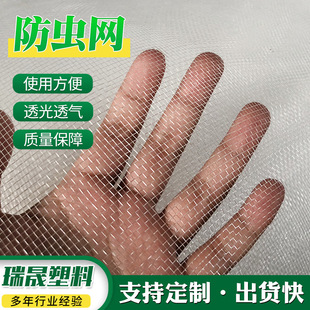 �羳ֲ����x�W �����߲˷��o�W �r��Ě�ȾW�����W �@ˇ����ϩ�W