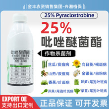 ������25%�����Ѿ���̿�Ҳ��ְ߲��~�߲��׷۲��߲˴������