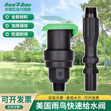 美国雨鸟P33快速取水阀园林绿化草坪6分取水栓喷灌浇花浇水