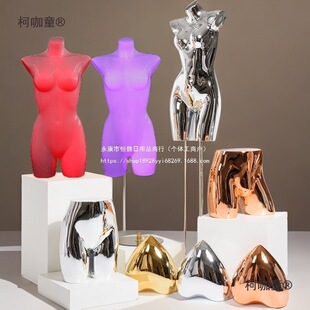 ���b��͸������Ůģ�؃���Ӿ��ѝ���˵���չʾ����ģģ��PC��̫��
