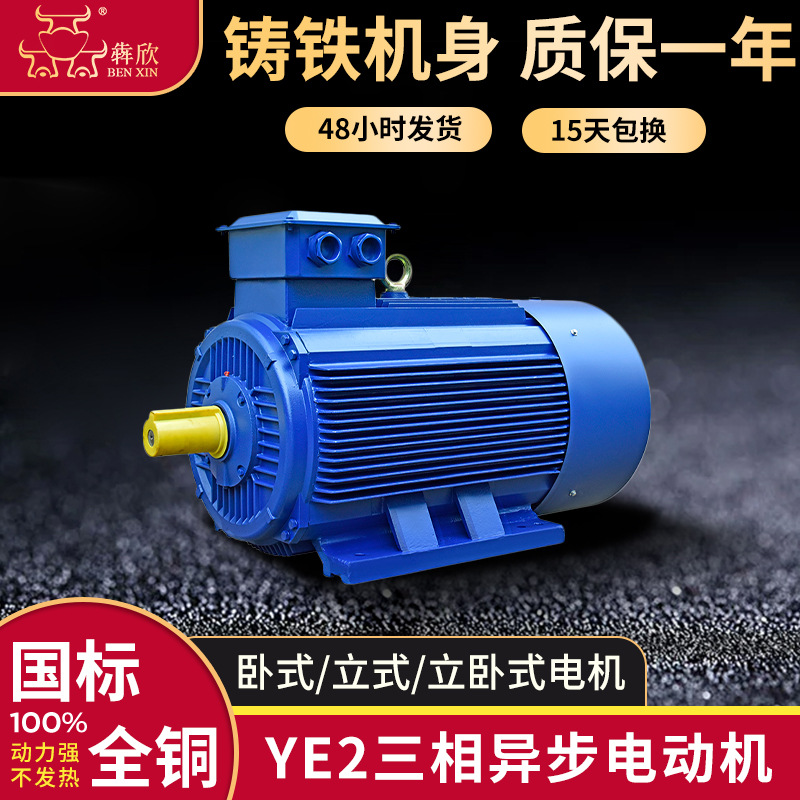 6极铜线满功率YE2电机37kw 45kw55kw三相异步电动机75kw 90kw批发