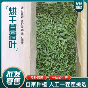 ����ޣ���������l����ϻ���ޣ�~ �ò���؈�Z ���b